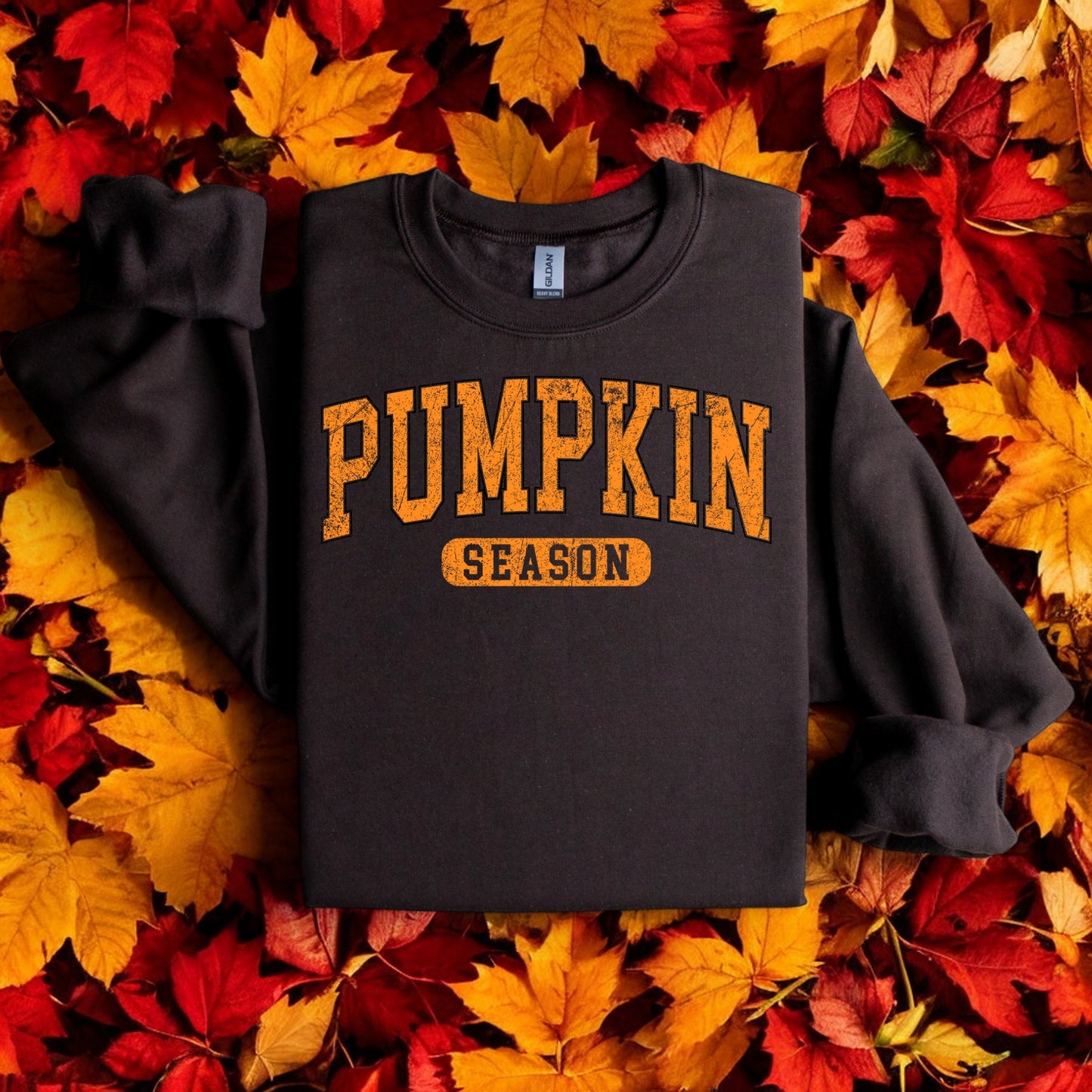 Pumpkin Season Graphic Sweatshirt