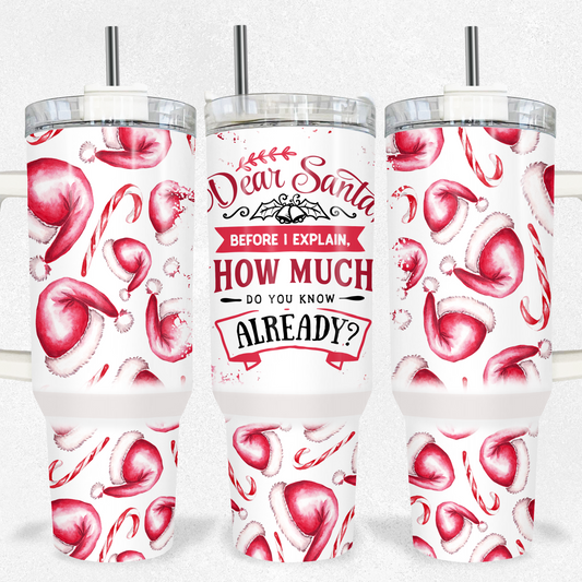 Dear Santa Christmas 40oz Tumbler